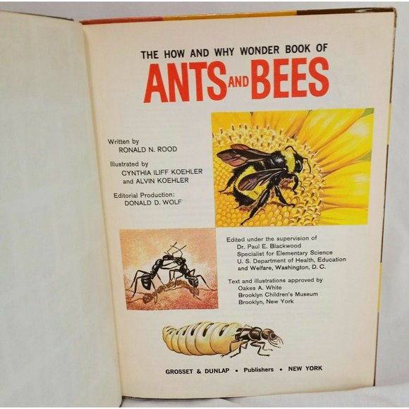 How and Why Ants and Bees Hardcover Book 1962 School Ex-Library Ronald N Rood - Picture 4 of 12